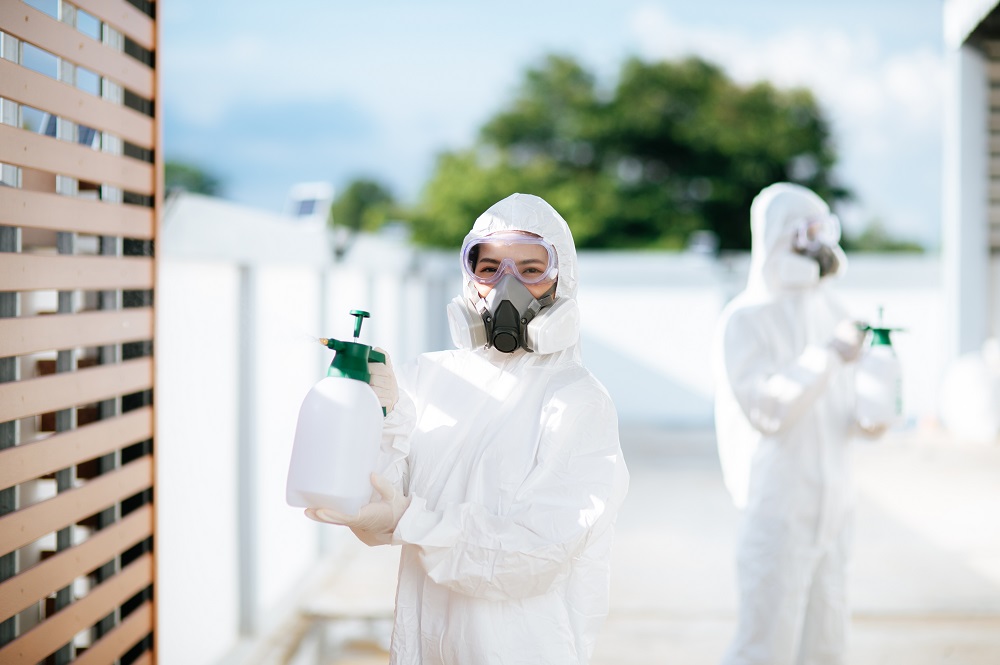The Real Dangers of Ignoring Pest Problems